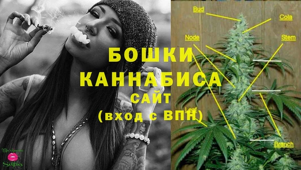 шишки Пролетарск