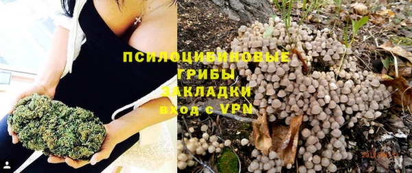 mdma Протвино